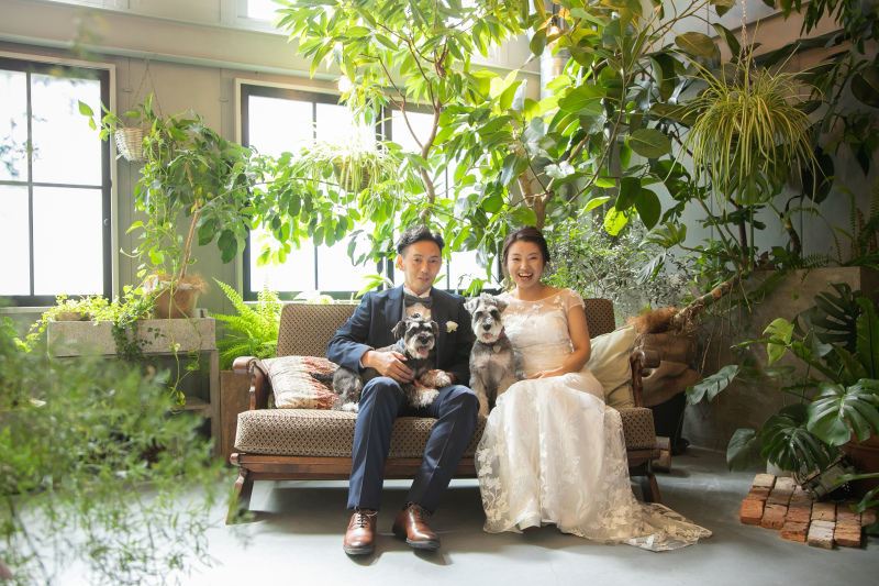 元気なワンちゃんと一緒に