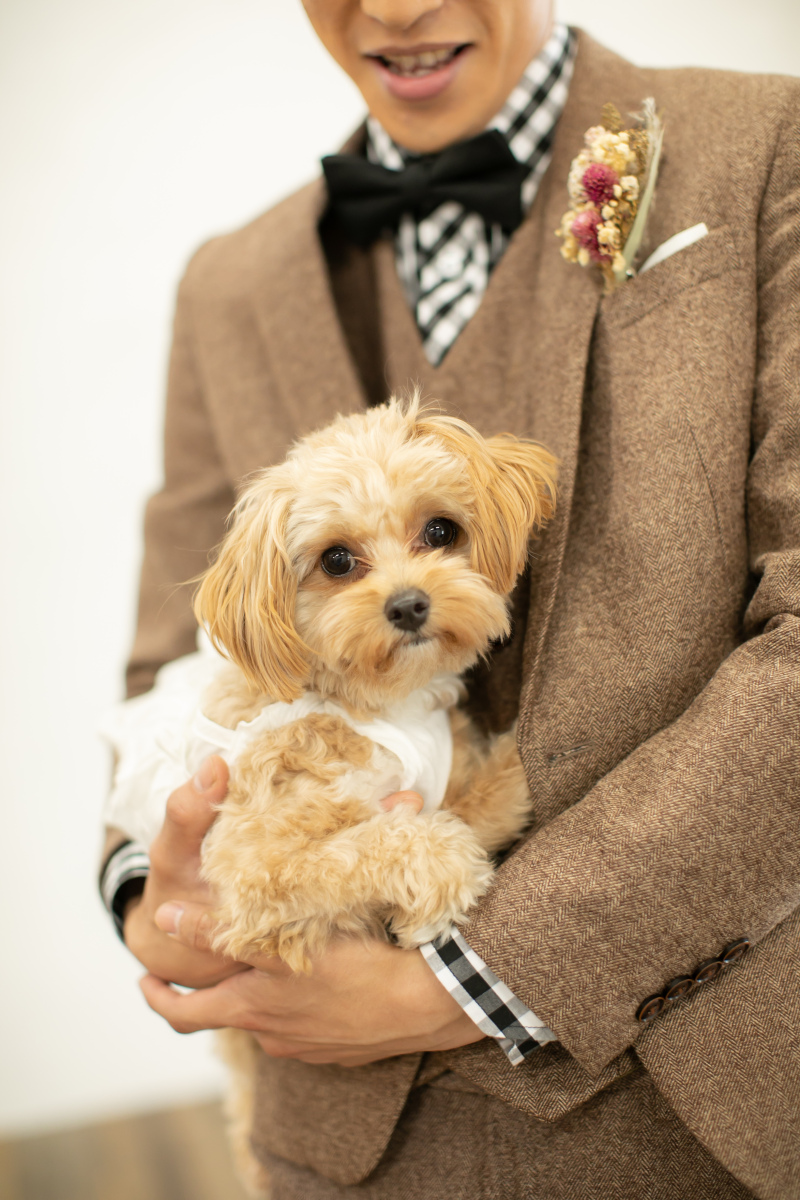 準備はバッチリ