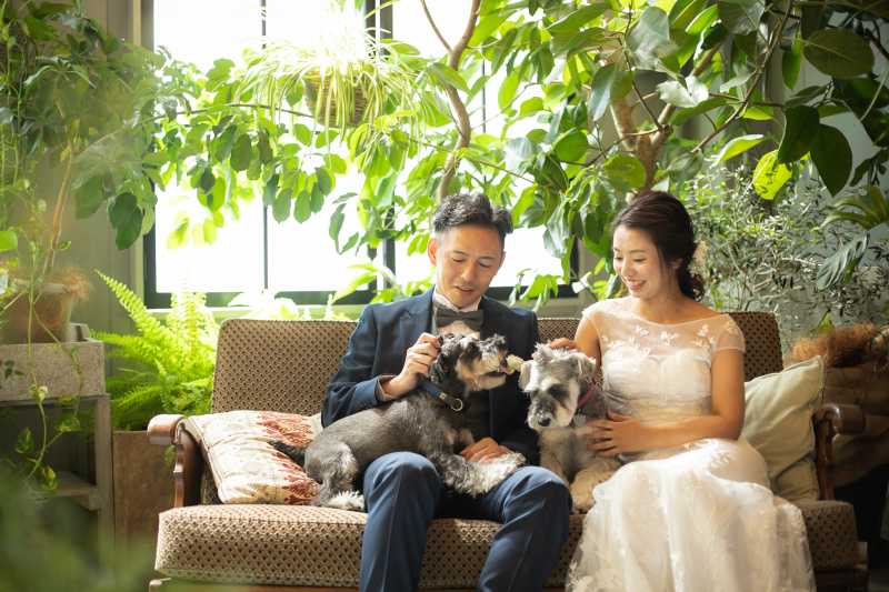 ふたりのワンちゃんへの愛