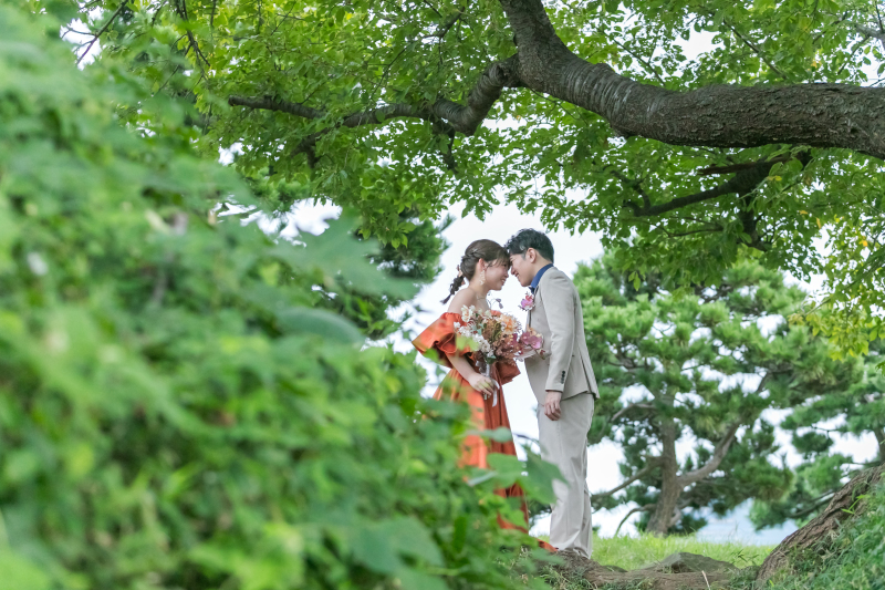 大きな桜の木の下で