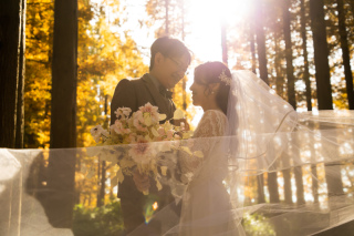 広がるベールの中に。