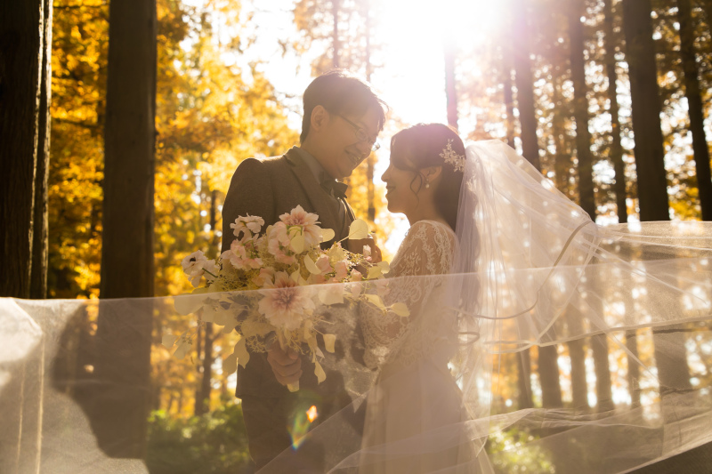 広がるベールの中に。