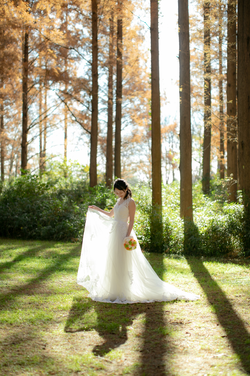 ドレスから透ける光