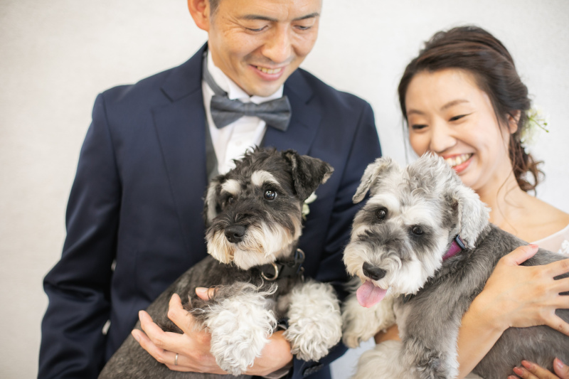 GREEN STUDIO_ペットと一緒に撮影できる