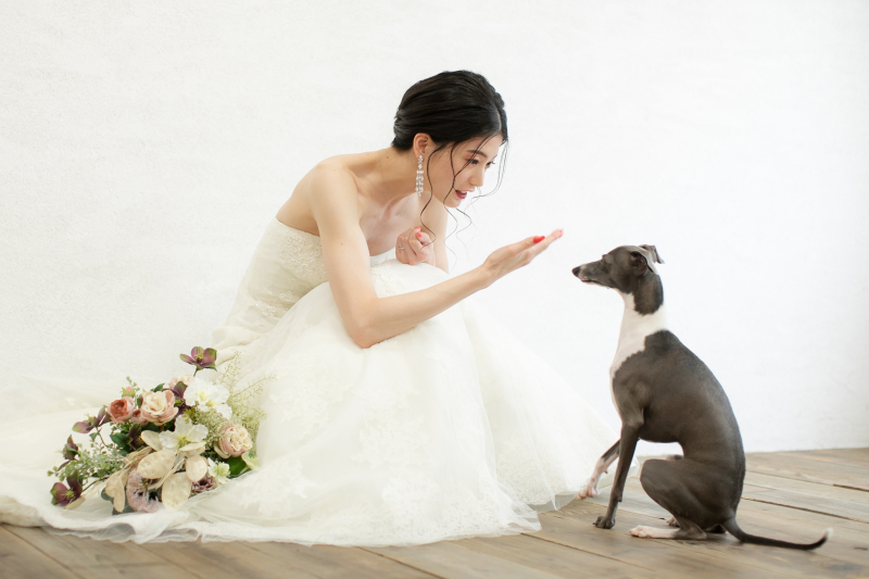 GREEN STUDIO_ペットと一緒に撮影できる