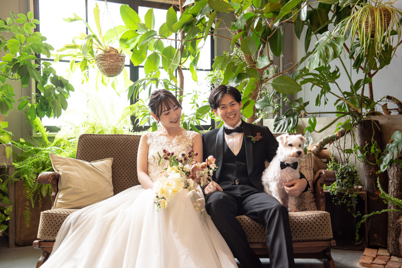 好きなおやつ・お気に入りのおもちゃでご機嫌よく!