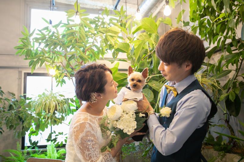 ペットとグリーンもベストマッチ