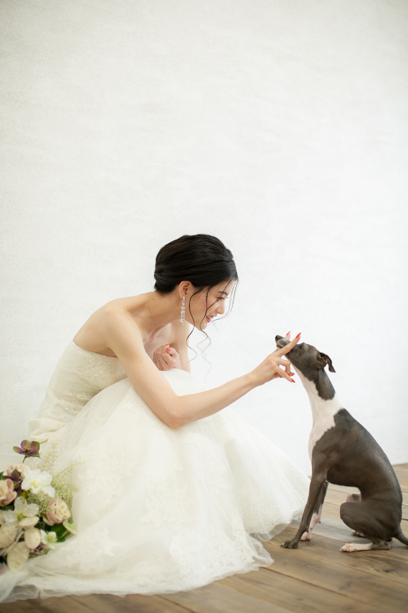 GREEN STUDIO_ペットと一緒に撮影できる