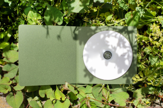 100カットデータ