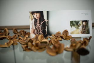 フォトパネル(横長)