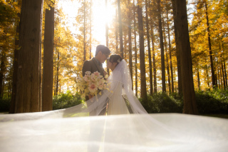 リクエストカット