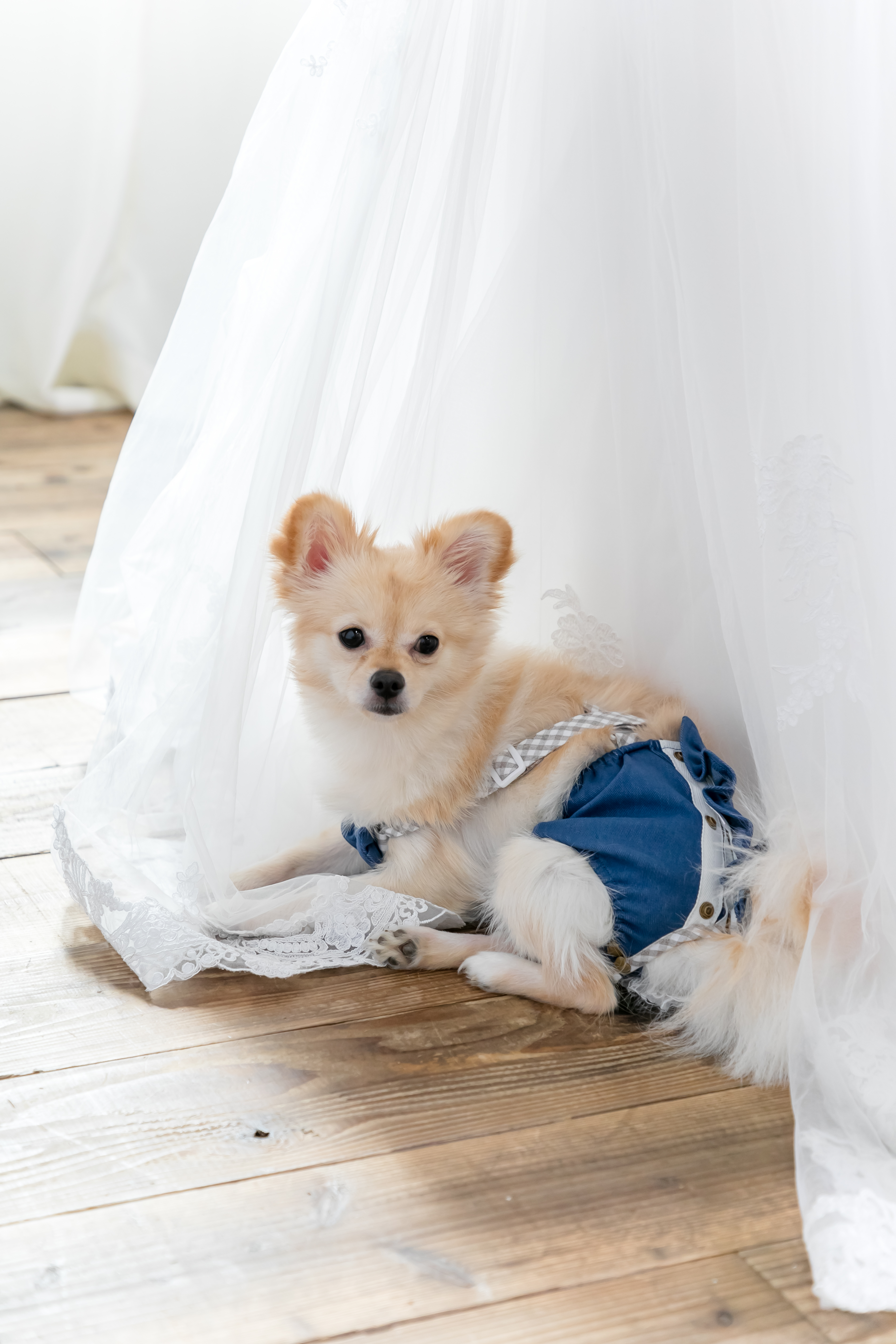 Point1 多彩な撮影シーン