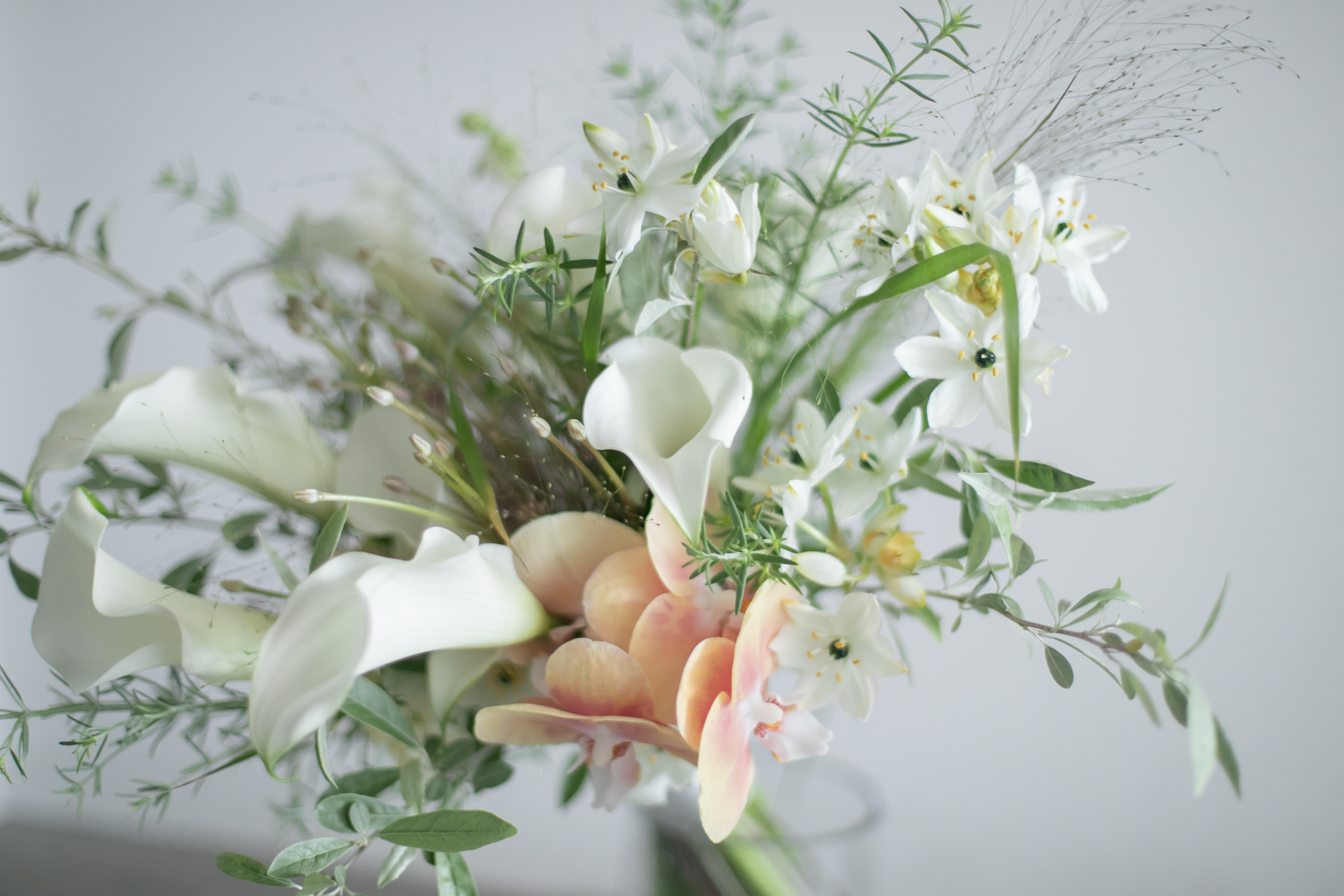 Point1 多彩な撮影シーン