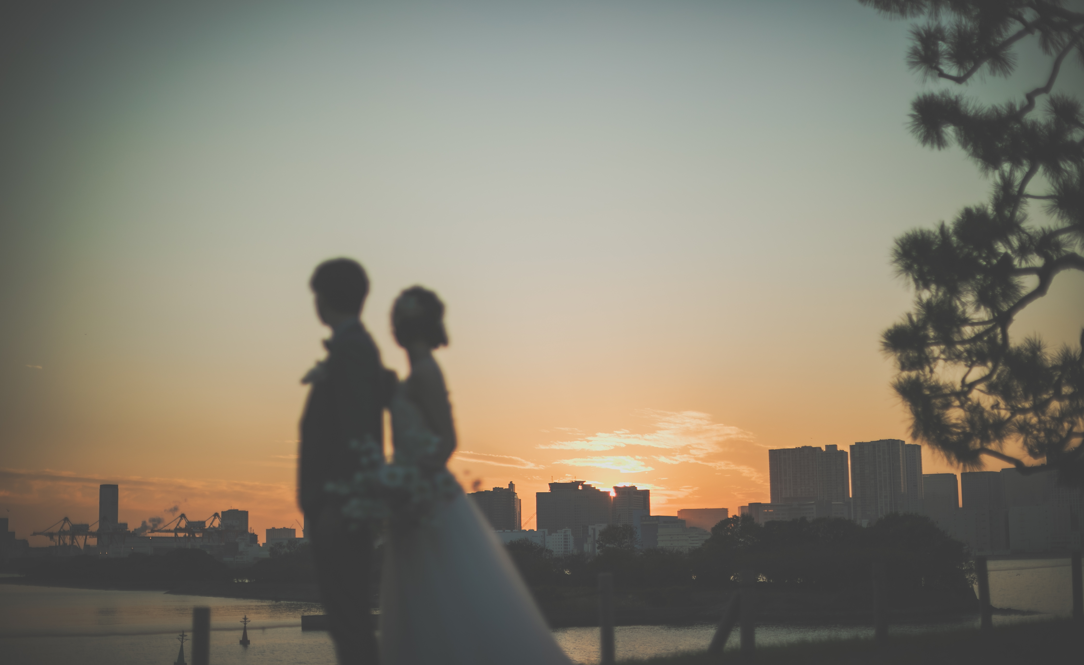 Point1 多彩な撮影シーン