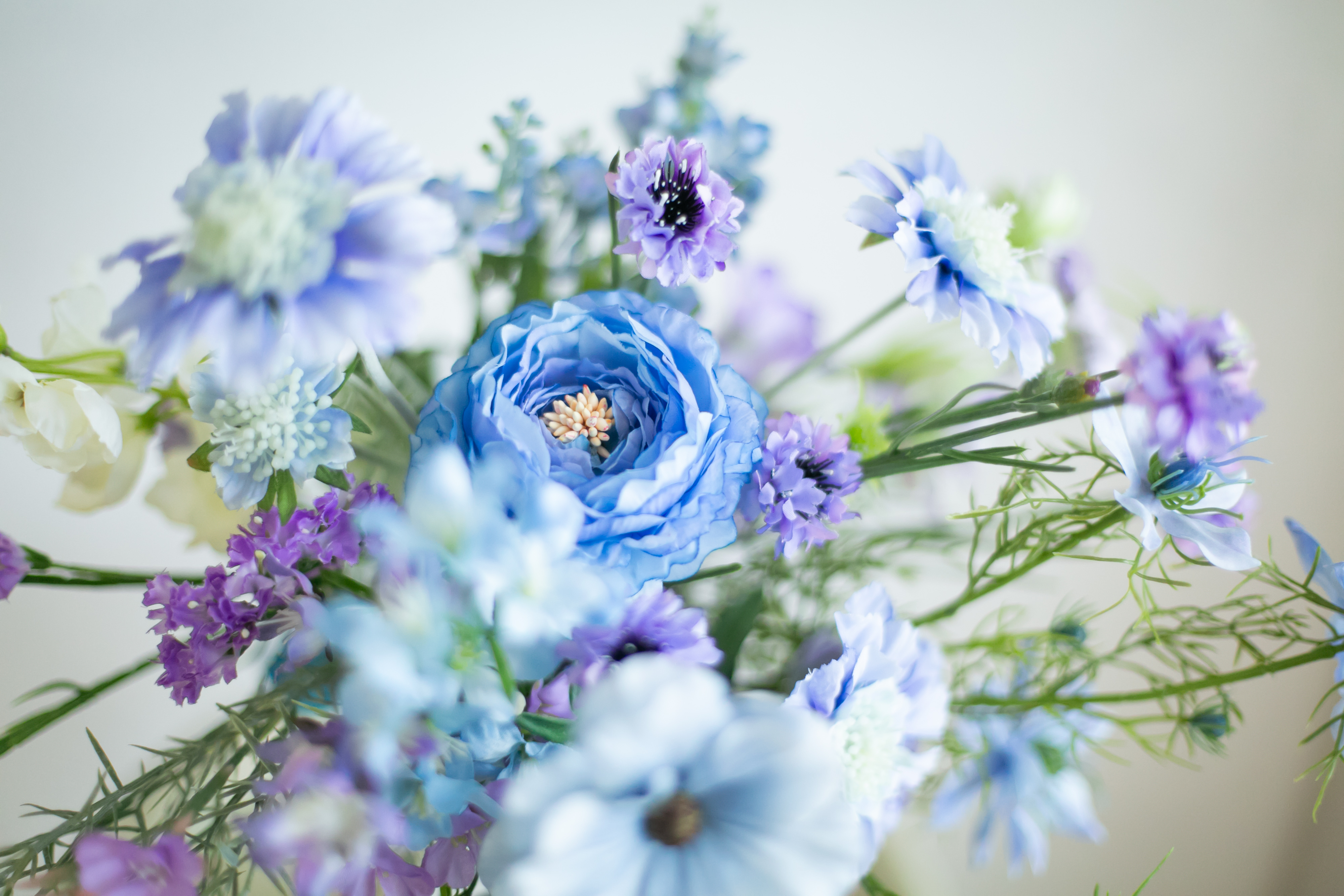 Point1 多彩な撮影シーン