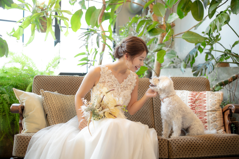 GREEN STUDIO_ペットと一緒に撮影できる