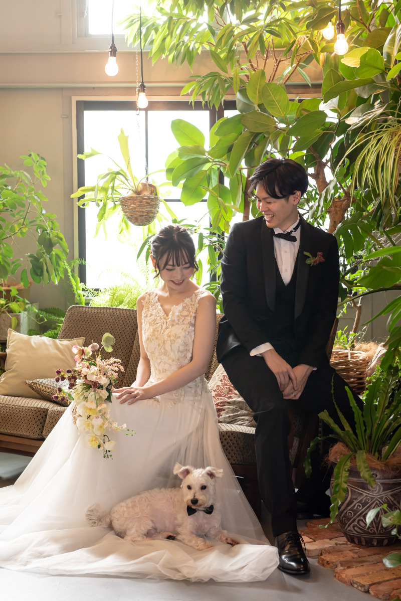 GREEN STUDIO_ペットと一緒に撮影できる