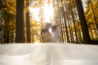 都心の公園ながら多くのフォトジェニックな撮影スポットがある水元公園で、さわやかなロケーションフォトを！ 大満足な人気プランです。
