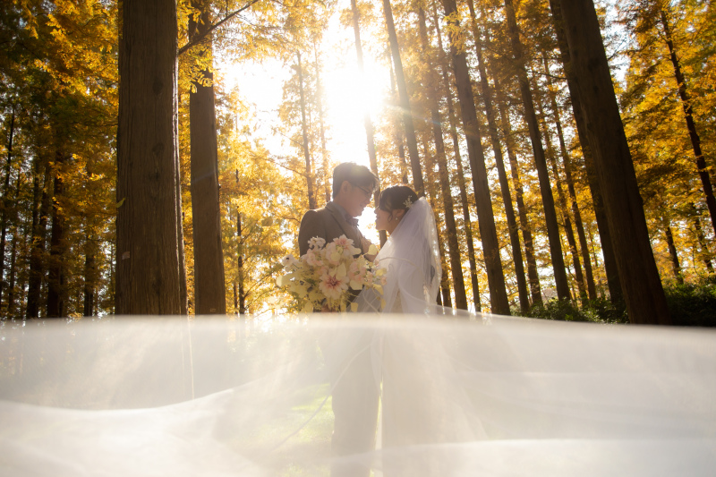 【水元公園ロケーションプラン＋20Pアルバム】キャンペーン中3万円オフ！ナチュラルな雰囲気がお好きな方へ【衣装ランクアップなし】