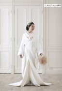 白AP-120-5 珀寿菊