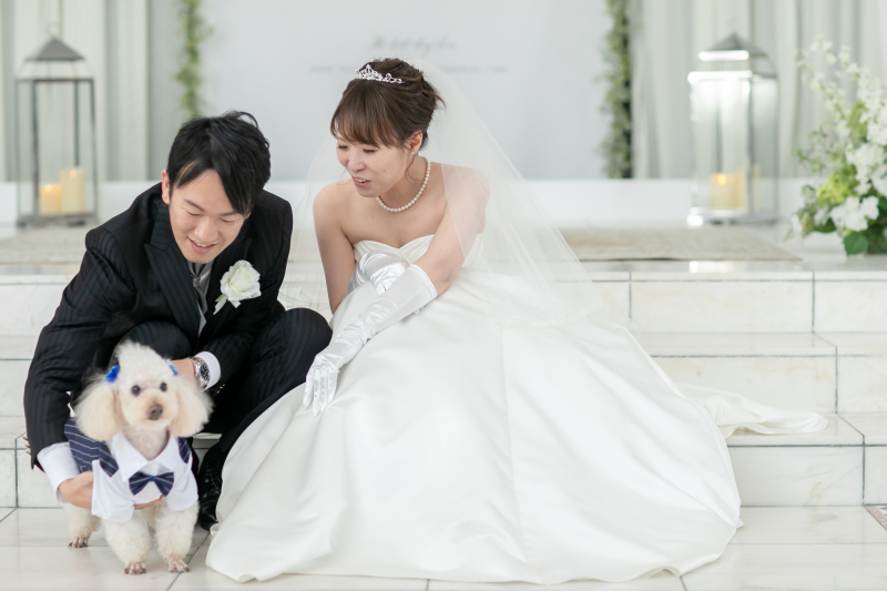 ワンちゃんと一緒に