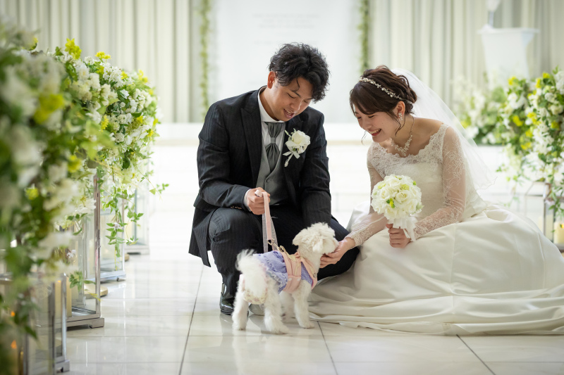 わんちゃんとの