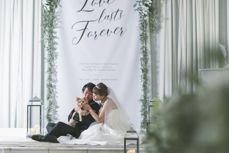 ワンちゃんと今度はチャペルで