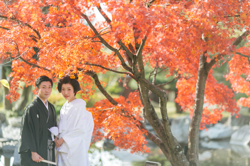 紅葉ロケフォト