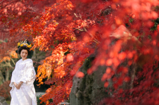 紅葉和装ロケ＆ウエディング、カラードレス撮影