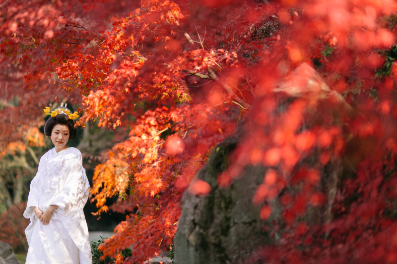 紅葉和装ロケ＆ウエディング、カラードレス撮影