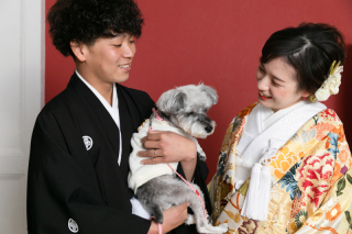 スタジオでのペット撮影