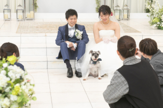 オプション 小さな結婚式 松山店 愛媛県でフォトウェディング探すならphotorait
