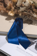 サッシュベルト