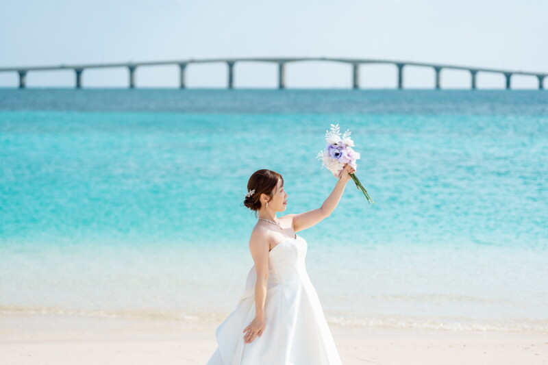 ☀　太陽に　☀