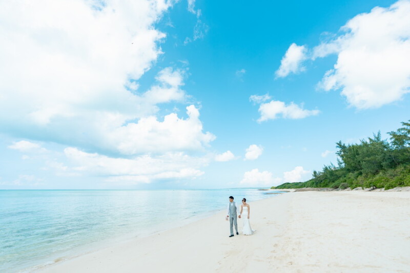 お散歩ショット