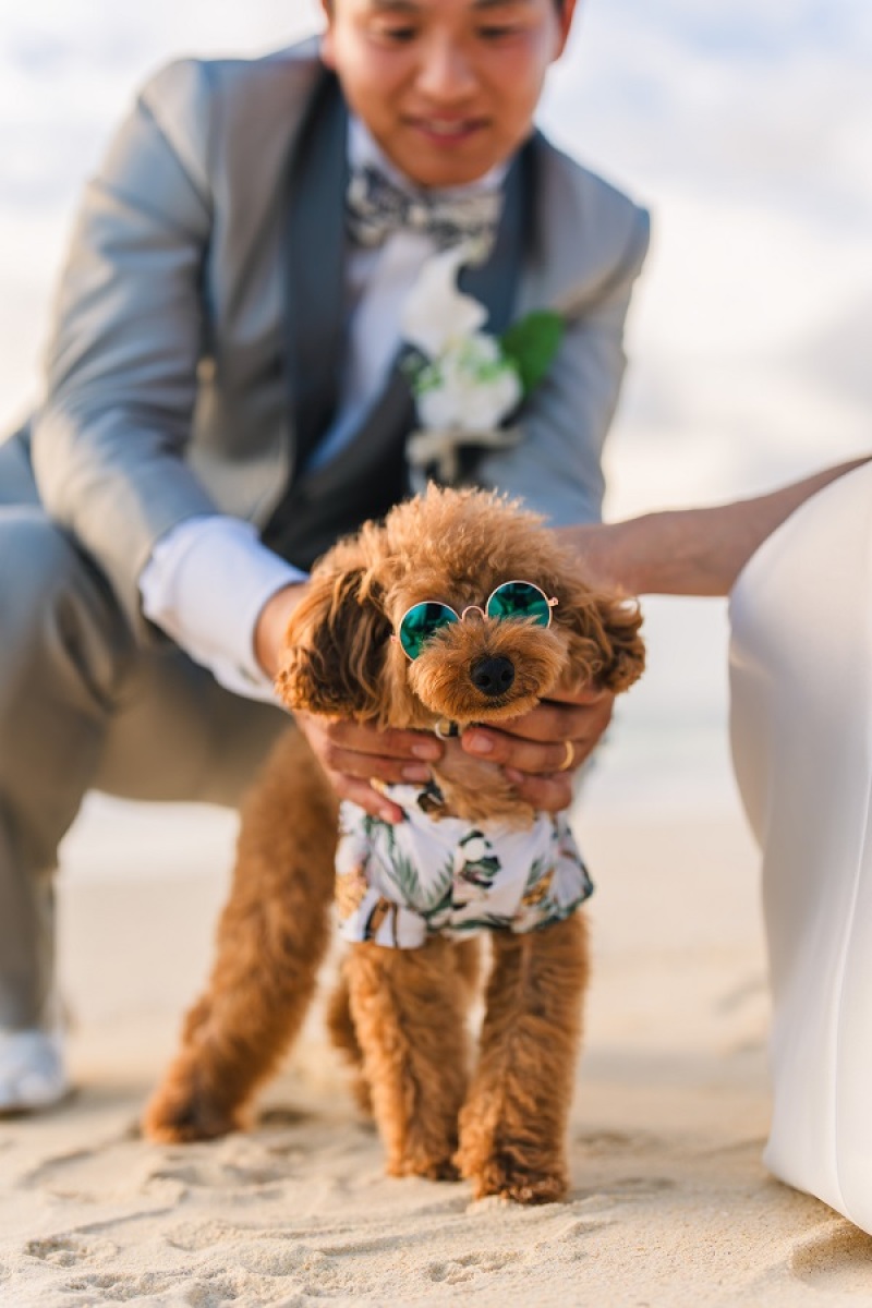 サングラスでおしゃれに