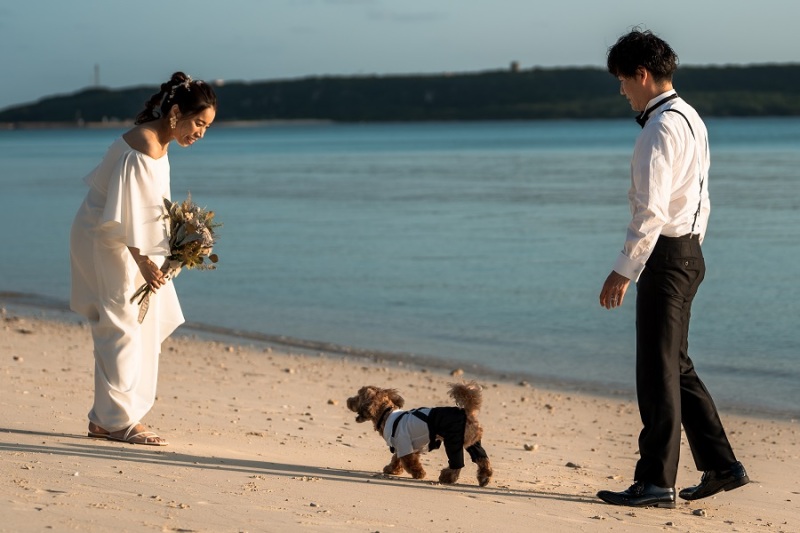 ビーチでお散歩