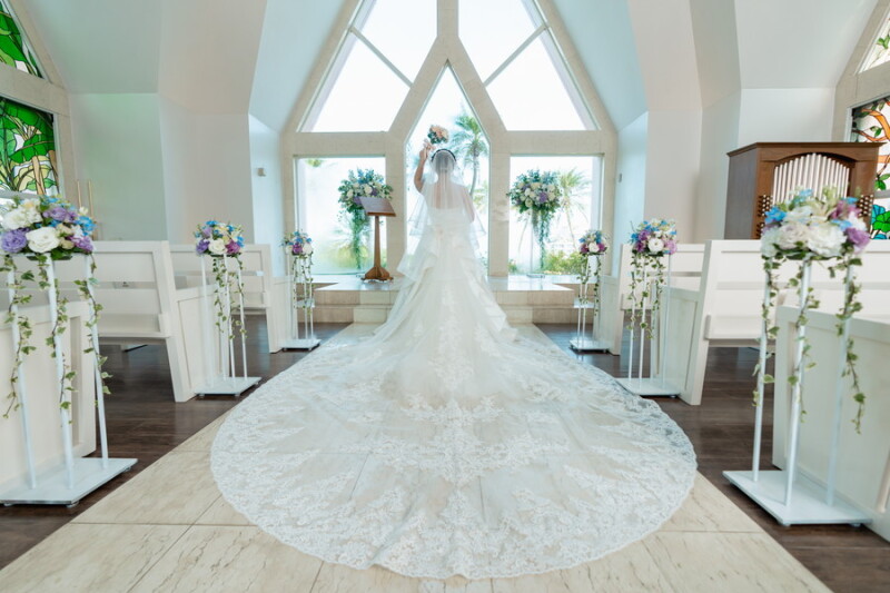 バックショット＊