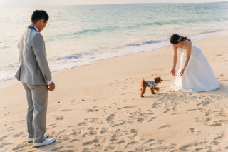 Beach ーDAY TIME＆SUNSETー