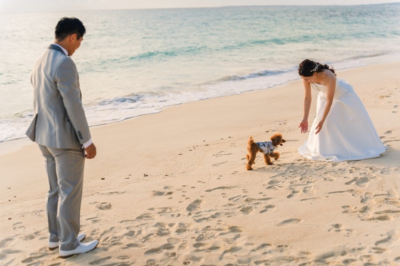 Beach ーDAY TIME＆SUNSETー