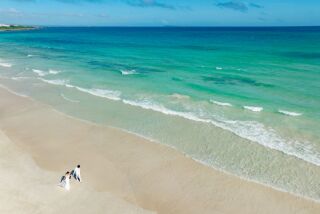 【3-10月限定】人気おすすめオプションパック