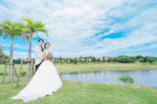 ★NEW★オッジ OGGI (20P/40C)