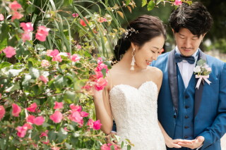 フィーネ FINE (16P/30C)