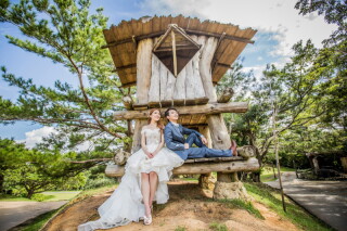 フィガロ FIGARO (16P/42C)