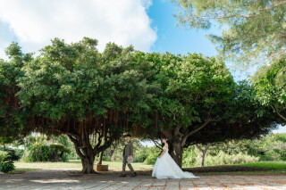 CREATIVE STUDIO 宮古島 byワタベウェディング_グリーンフォト ～Green～