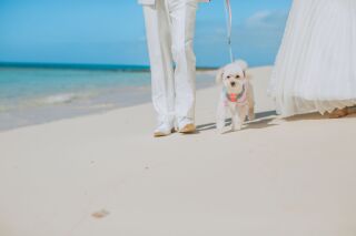 大切な日だからこそ！愛犬と一緒に撮影も充実したい！