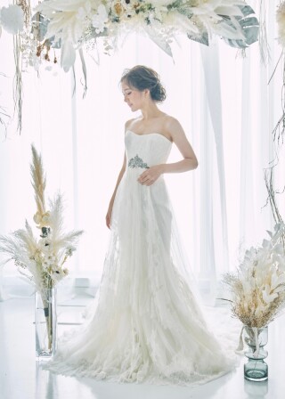 LWD003 プロノビアス