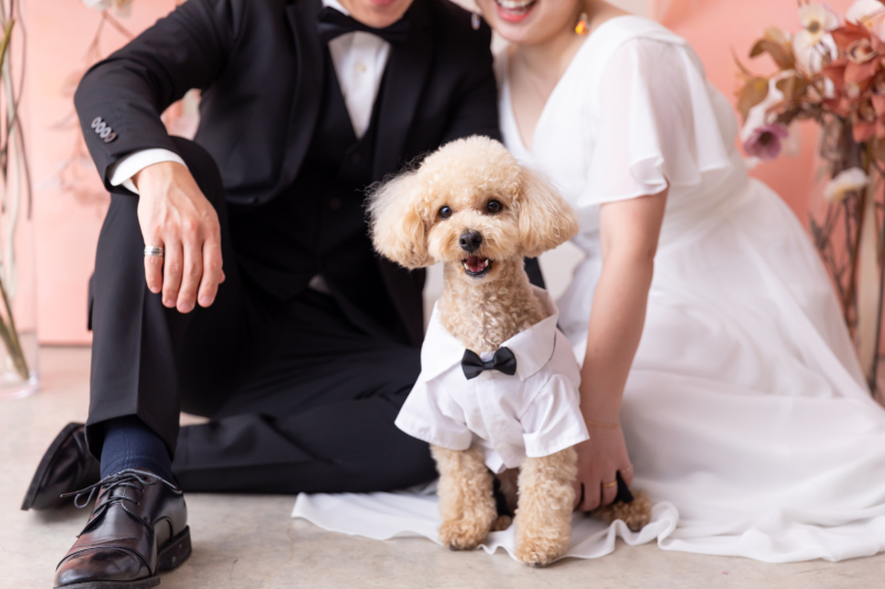 お待ち致しております＾＾