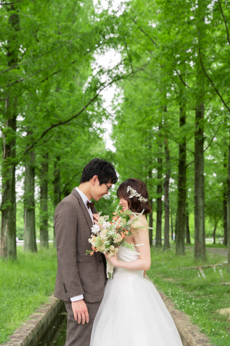 新緑並木フォト