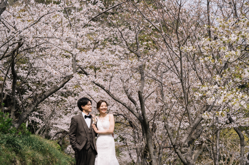 桜を背景に撮れるのはこのシーズンだけ